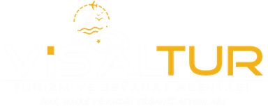 VisalTur Logo